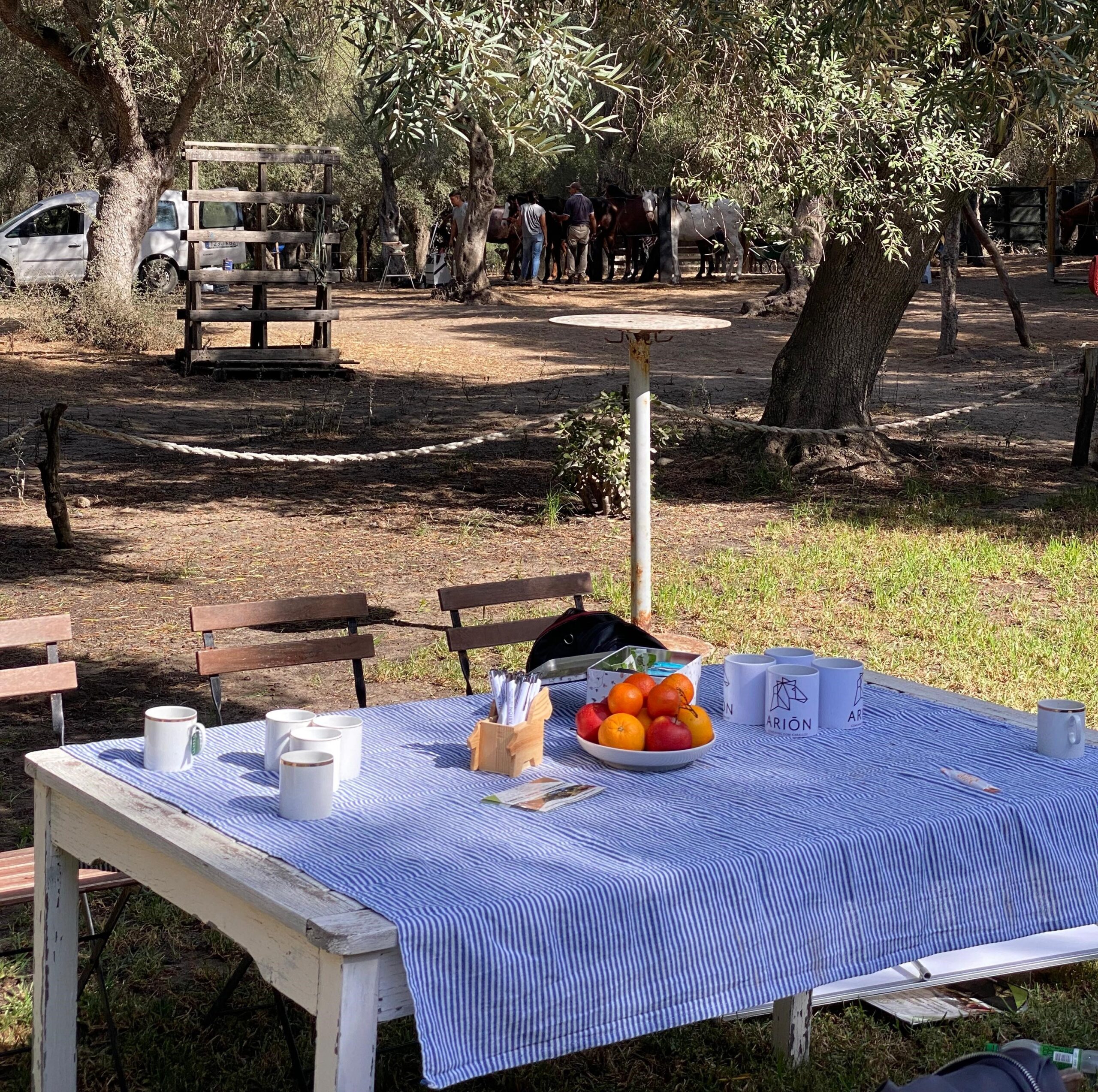 WhatsApp Image 2025-11-21 at 13.57.06