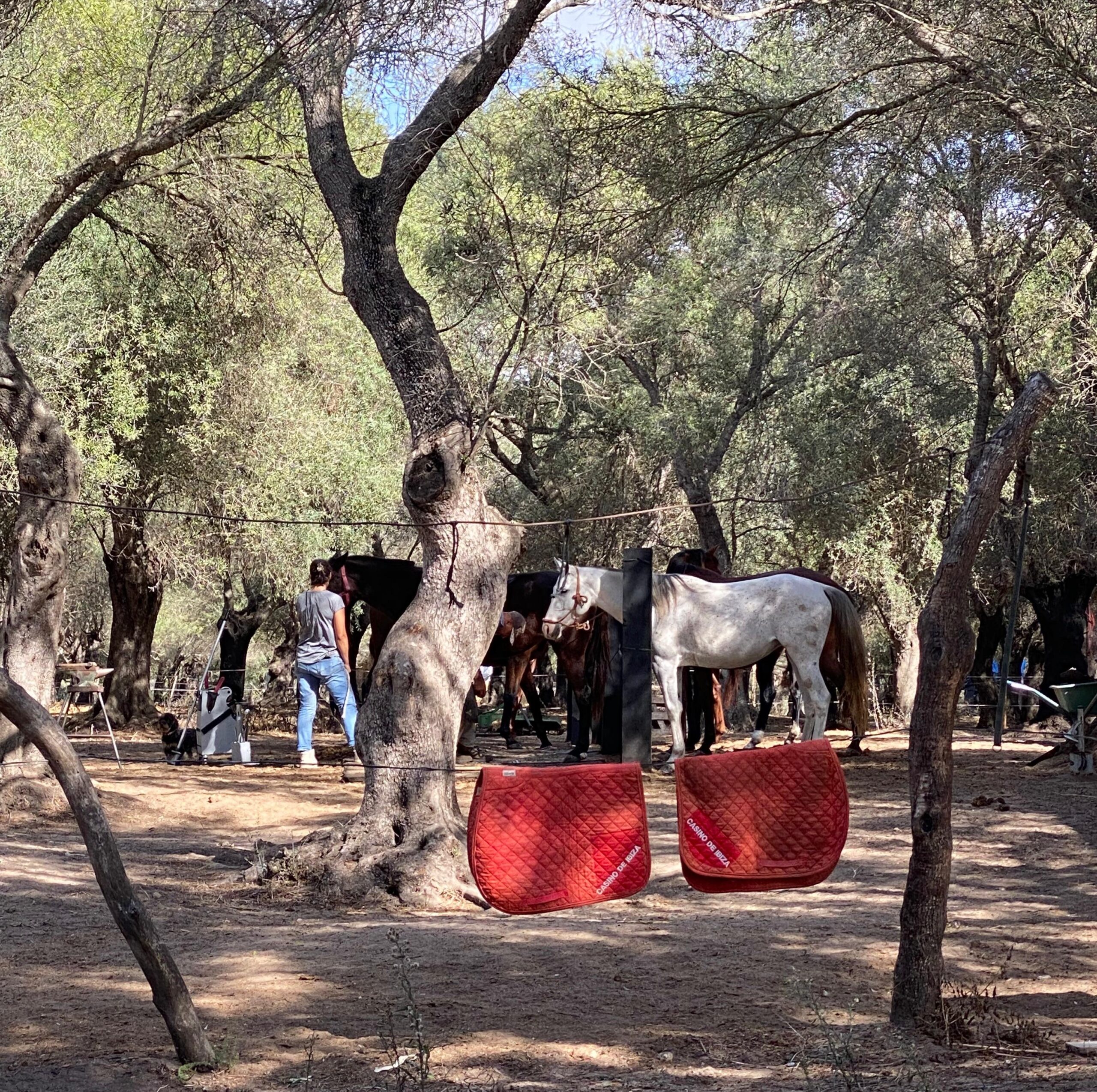 WhatsApp Image 2025-11-21 at 13.57.0623